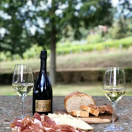 Castello Pomino Farm stay