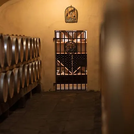 Farm stay Castello Pomino *