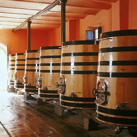 Castello Pomino Bauernhof